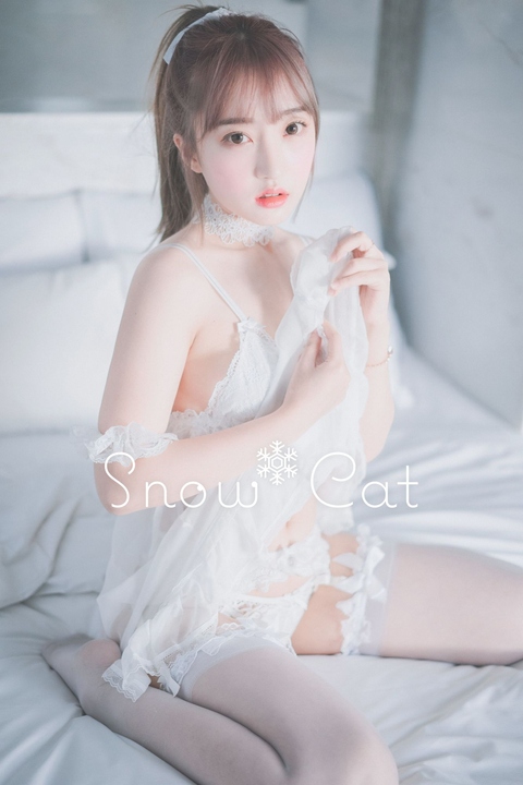 HaNari-DJAWA-Snow-Cat