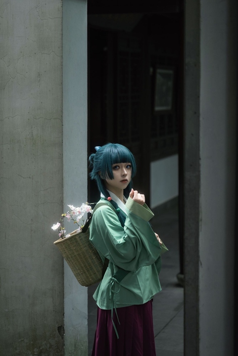 矢量鱼-药屋少女的呢喃-猫猫 矢量鱼-药屋少女的呢喃-猫猫